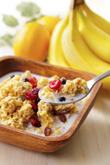 フルーツグラノーラ　Fruit granola