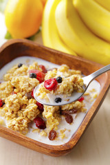 フルーツグラノーラ　Fruit granola