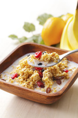 フルーツグラノーラ　Fruit granola