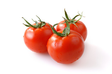 トマト　Tomato