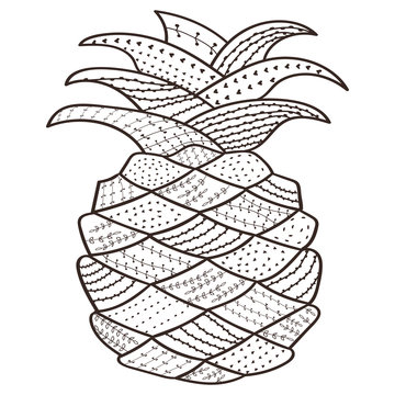 Adult coloring book page Pineapple. Whimsical line art for antistress coloring pages. Hand drawn brown outlined vector isolated illustration on white background. Henna mehendi, tattoo sketch