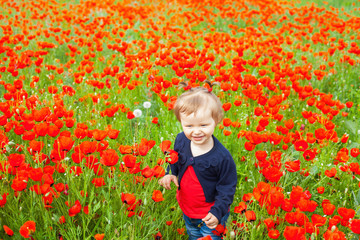 Field of flowers