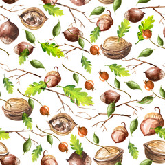 
Vintage, watercolor pattern - a set of nuts, branch, berries, leaves, hazelnut, walnut.