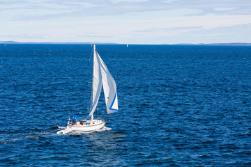 Fototapeta premium Sailing Across Bay