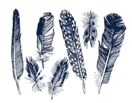 Hand drawn feathers set 