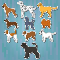 Set of cartoon dog breeds