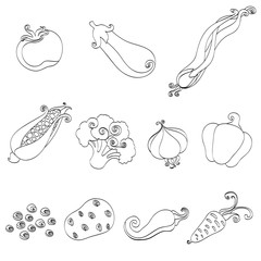 Set of icons vegetables tomato, corn, eggplant, onions, peas, potatoes, garlic, carrots, chili peppers, broccoli objects black lines for menu, illustrations, booklets and coloring, isolated vector