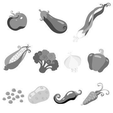 Set of icons vegetables tomato, corn, eggplant, onions, peas, potatoes, garlic, carrots, chili peppers, broccoli flat black, white image for menu, illustrations, booklets and books, isolated vector