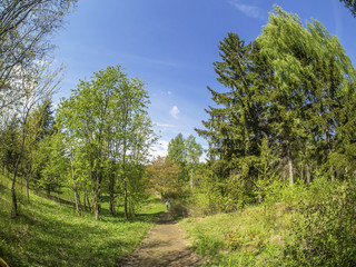 Fototapeta na wymiar trail in Spring Park