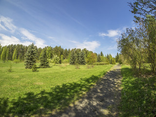trail in Spring Park