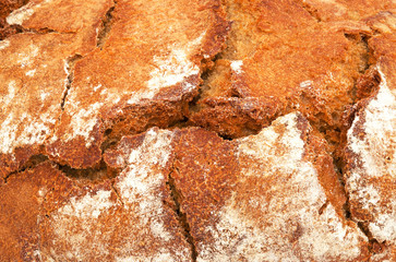 Freshly baked loaf of traditional round rye bread. Design element for bakery product label, catalog print, web use. Top view.