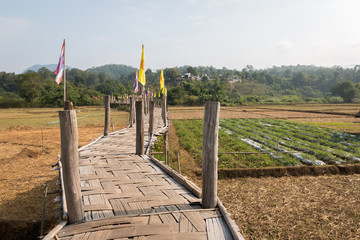 Su Tong Pe bridge, beautiful bamboo bridge in Mae Hong Son provi