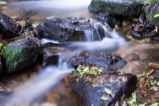 Floating Water In The Blue Mountains, NSW Australia