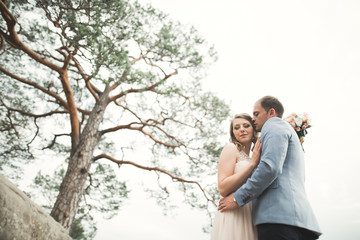 Wedding couple in love kissing and hugging near rocks on beautiful landscape