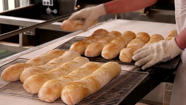 Taking out hot fresh baguettes to the iron tray. Manufacture of bread