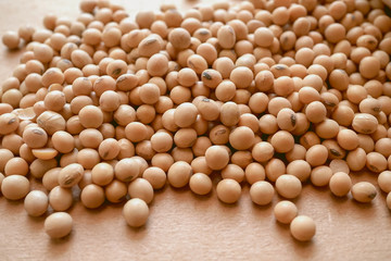 soy beans texture
