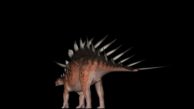 Animation of Kentrosaurus Dinosaur gyrating on black background