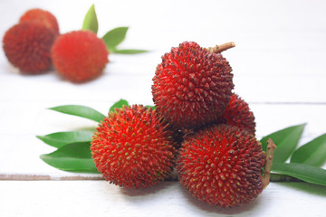 Pulasan fruit (Nephelium mutabile Blume) is a tropical fruit closely linked to the rambutan. Pulasan is wild rambutan. The skin is thick with short and stumpy hairs.