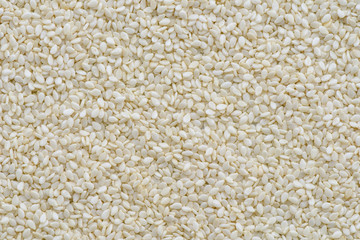 White sesame seed background