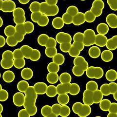 Pathogenic  bacterias or virus in liquid, b deadly epidemic. T