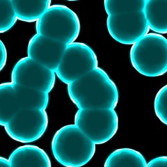 Microscopic world. Dangerous bacteria cells or virus spheres