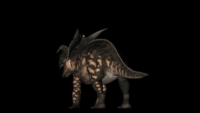 Animation of Einiosaurus dinosaur gyrating 360 degree on black background