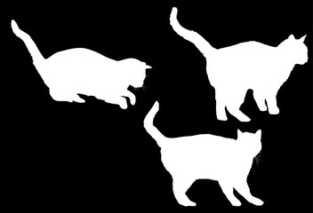 three white isolated cat silhouettes collection