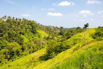 Obraz premium Campuhan Ridge Walk