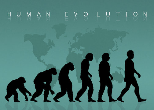 human evolution silhouette