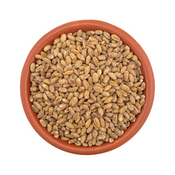 Small bowl of red winter wheat berries on white background top view.
