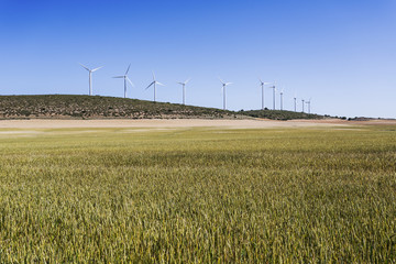 Wind turbines/Wind energy. Castilla-La Mancha, Spain, Europe.