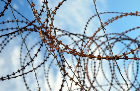 Tangled barbed wire fence with sky background