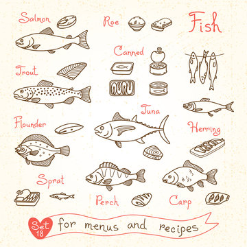 Set drawings of fish for design menus, recipes and packing. Trout, herring, sprat, flounder, perch, carp, tuna, salmon, roe, canned . 