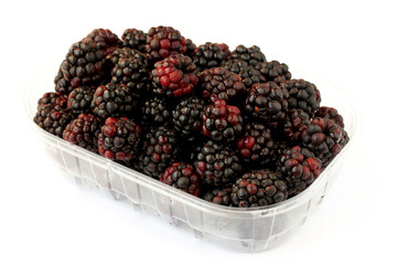 Blackberries on white background