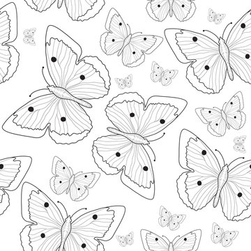 Butterfly hand drawing seamless pattern sketch. Black and white butterfly background. Vector illustration