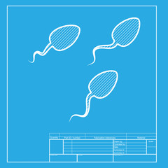 Sperms sign illustration. White section of icon on blueprint template.