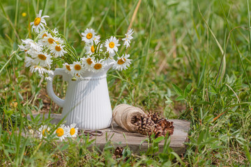 white daisies in  ceramic vase with scissor