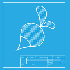 Radish simple sign. White section of icon on blueprint template.