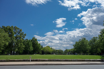 Park with blue sky