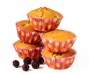 Cakes with blackberries isolated
