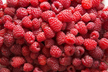 Fresh red raspberries