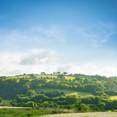 Composite image of a country scene