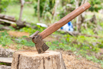 axe stuck in stump