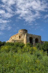 Fototapeta na wymiar Devin castle in Slovakia