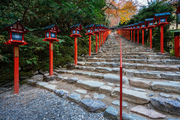 Fototapeta na wymiar 貴船神社の階段 Kibune shrine in autumn