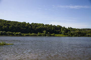 Calm river in the summer day