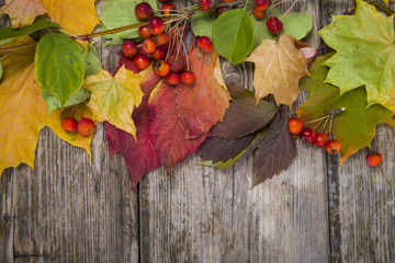 Naklejka na ściany i meble Autumn maple leaves and apples