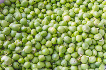 Green Peas Close up