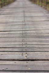 Screw the old wooden bridge blur.