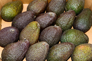 Green avocados in crate